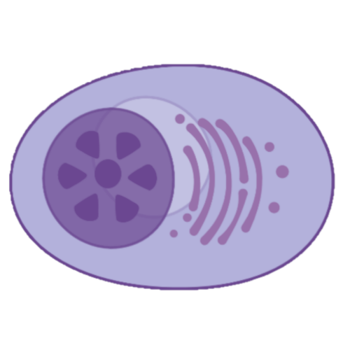 plasma_transparent