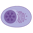 plasma_transparent