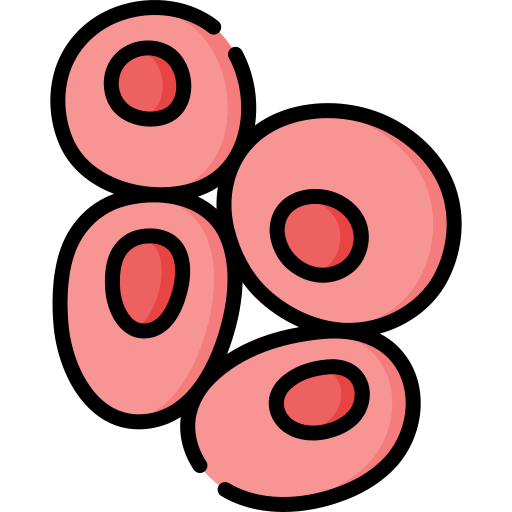 red-blood-cell.png